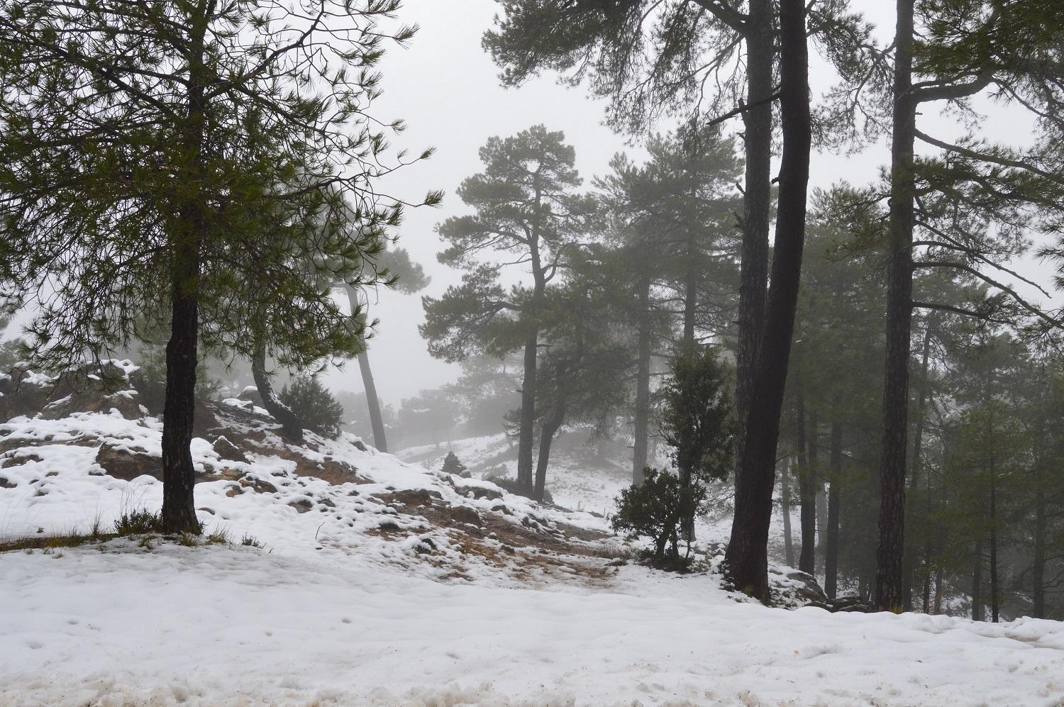 Vivienda Rural El Penon De Los Primillas La Iruela Exteriör bild