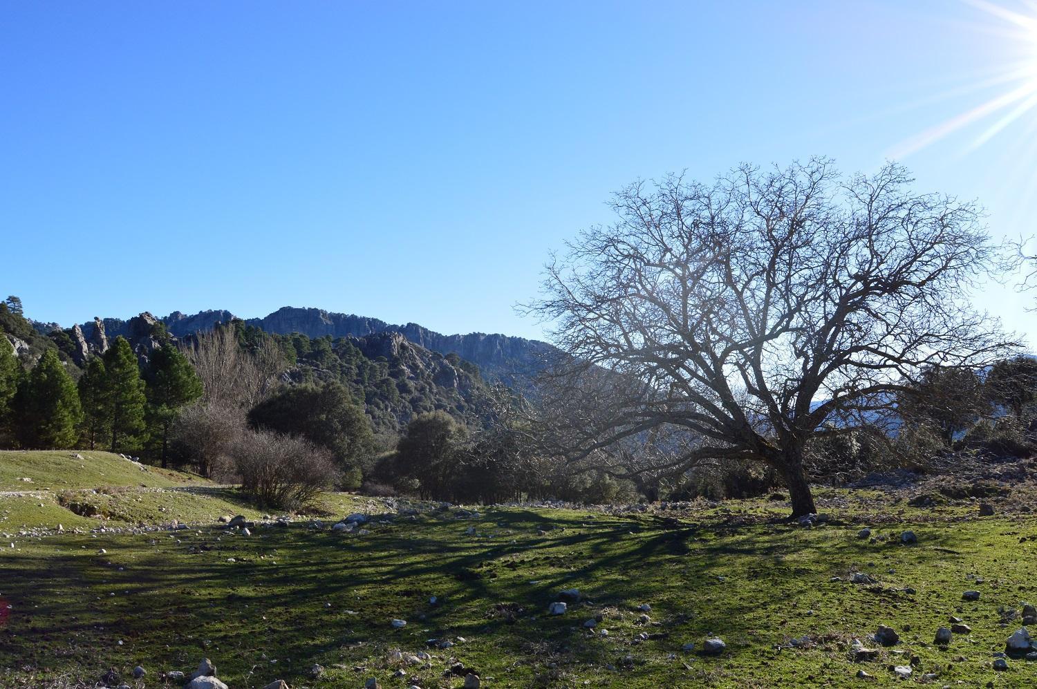 Vivienda Rural El Penon De Los Primillas La Iruela Exteriör bild