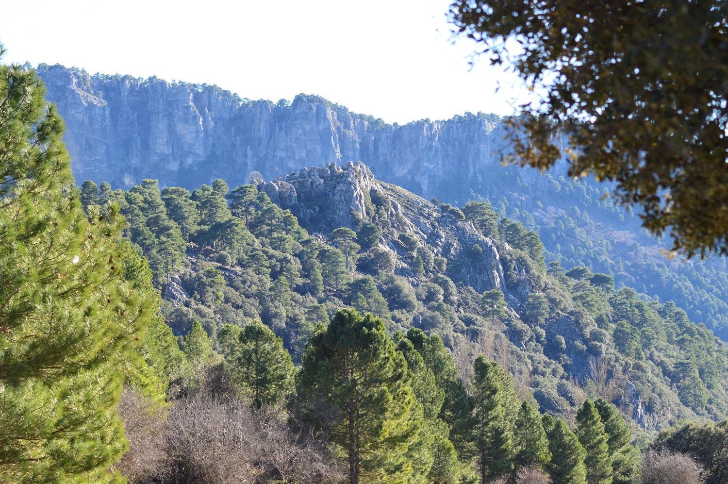 Vivienda Rural El Penon De Los Primillas La Iruela Exteriör bild